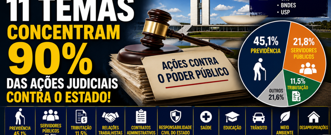 11 Temas da Litigância Contra o Poder Público