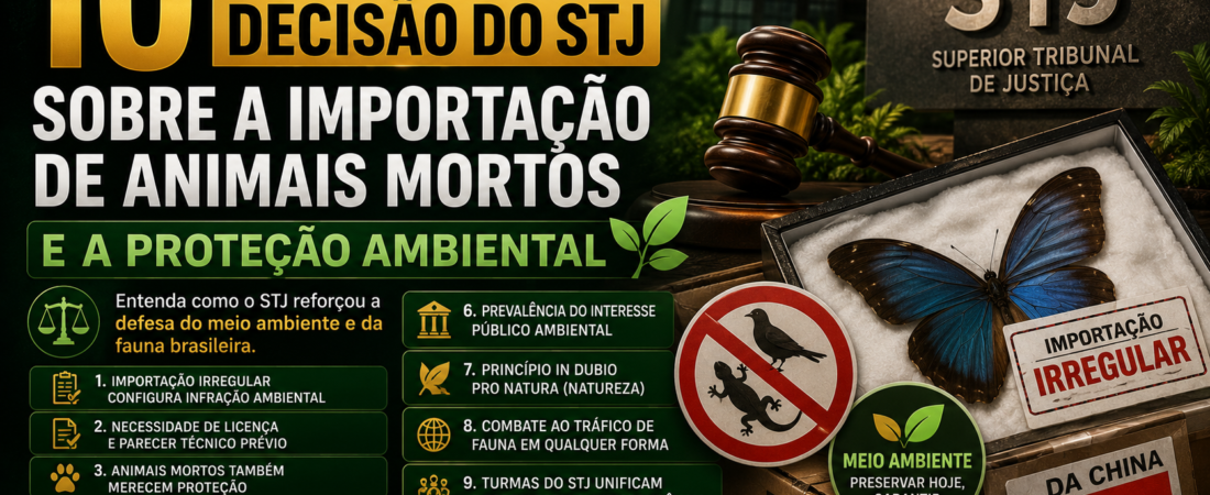 10 pontos da decisão do STJ sobre a importação de animais mortos e a proteção ambiental